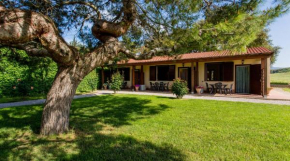 Agriturismo Il Sughereto - Appartamento Cattleya Roccastrada